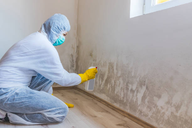 Bathroom Mold Removal assessment in Lebanon bathroom